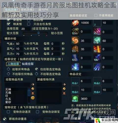 凤凰传奇手游苍月跨服地图挂机攻略全面解析及实用技巧分享