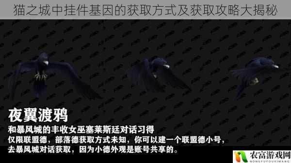 猫之城中挂件基因的获取方式及获取攻略大揭秘