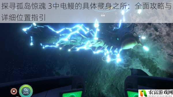 探寻孤岛惊魂 3中电鳗的具体藏身之所:全面攻略与详细位置指引