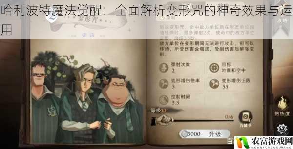 哈利波特魔法觉醒：全面解析变形咒的神奇效果与运用