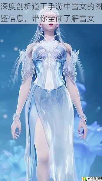 深度剖析道王手游中雪女的图鉴信息,带你全面了解雪女