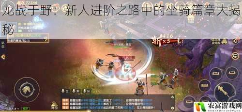 龙战于野:新人进阶之路中的坐骑篇章大揭秘
