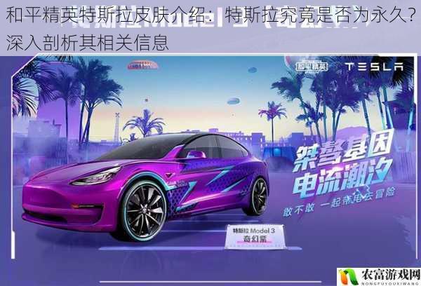 和平精英特斯拉皮肤介绍:特斯拉究竟是否为永久?深入剖析其相关信息