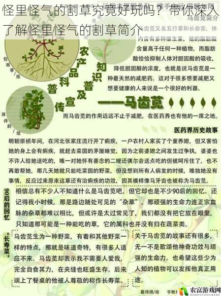 怪里怪气的割草究竟好玩吗？带你深入了解怪里怪气的割草简介