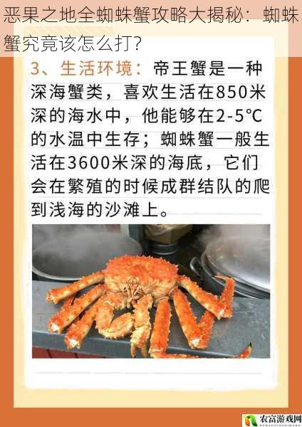 恶果之地全蜘蛛蟹攻略大揭秘:蜘蛛蟹究竟该怎么打?
