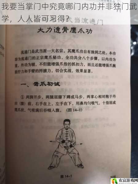 我要当掌门中究竟哪门内功并非独门武学，人人皆可习得？