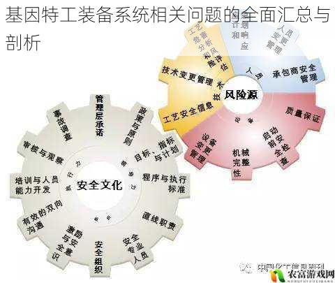 基因特工装备系统相关问题的全面汇总与剖析