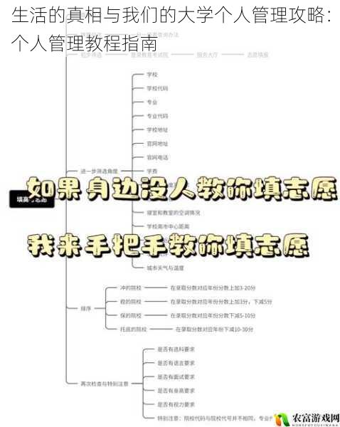 生活的真相与我们的大学个人管理攻略：个人管理教程指南