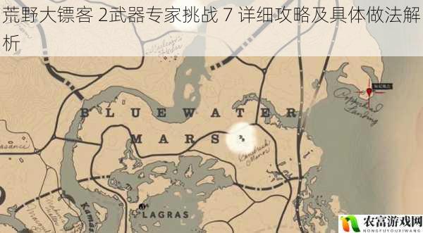 荒野大镖客 2武器专家挑战 7 详细攻略及具体做法解析