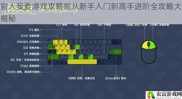 官人我要游戏攻略啦从新手入门到高手进阶全攻略大揭秘