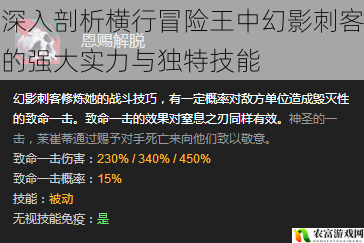 深入剖析横行冒险王中幻影刺客的强大实力与独特技能