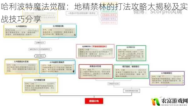 哈利波特魔法觉醒：地精禁林的打法攻略大揭秘及实战技巧分享