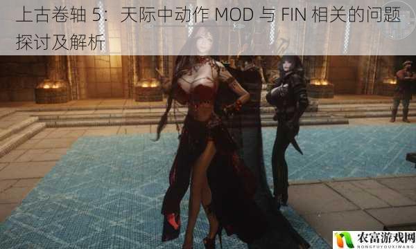 上古卷轴 5：天际中动作 MOD 与 FIN 相关的问题探讨及解析