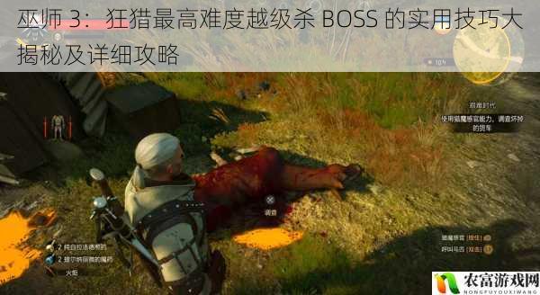 巫师 3：狂猎最高难度越级杀 BOSS 的实用技巧大揭秘及详细攻略