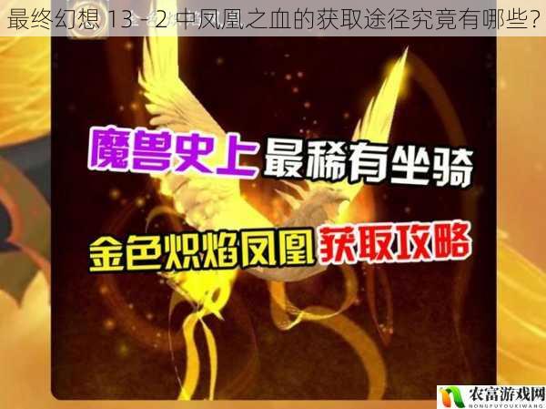 最终幻想 13 - 2 中凤凰之血的获取途径究竟有哪些？