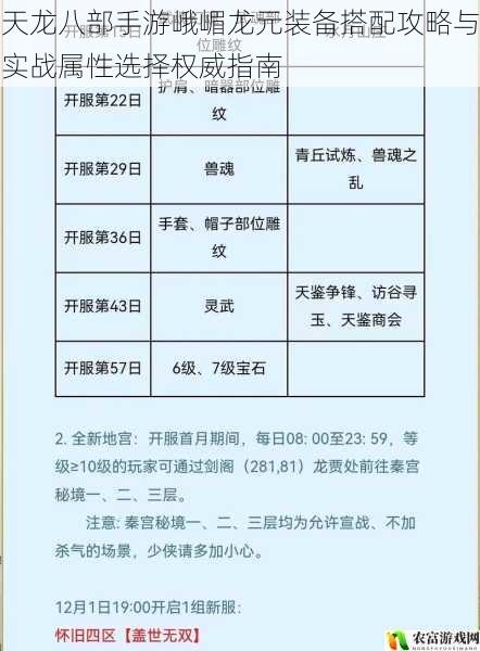 天龙八部手游峨嵋龙元装备搭配攻略与实战属性选择权威指南