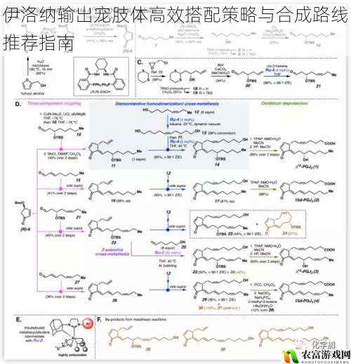 伊洛纳输出宠肢体高效搭配策略与合成路线推荐指南