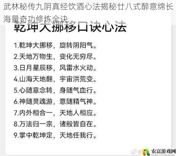 武林秘传九阴真经饮酒心法揭秘廿八式醉意绵长海量奇功修炼全诀