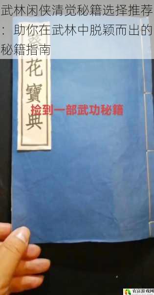 武林闲侠清觉秘籍选择推荐：助你在武林中脱颖而出的秘籍指南