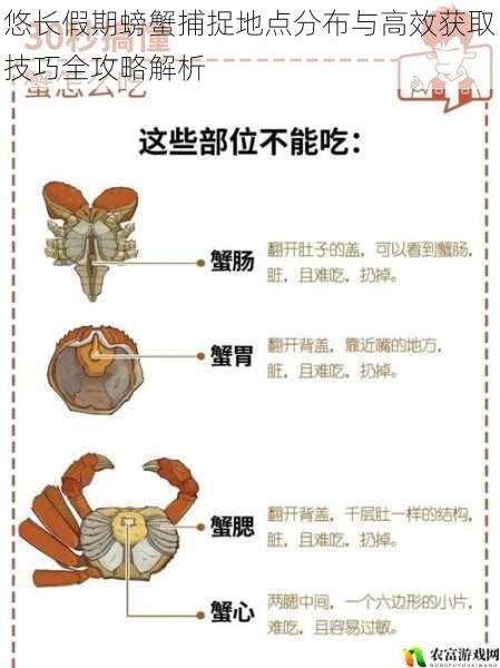 悠长假期螃蟹捕捉地点分布与高效获取技巧全攻略解析