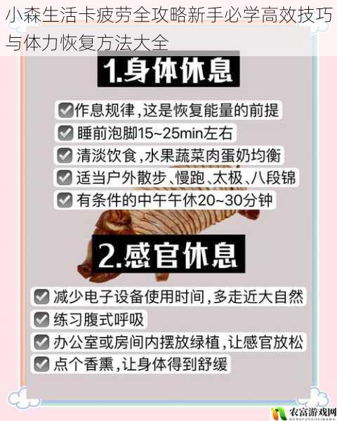 小森生活卡疲劳全攻略新手必学高效技巧与体力恢复方法大全