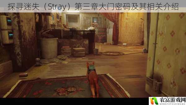 探寻迷失(Stray)第三章大门密码及其相关介绍