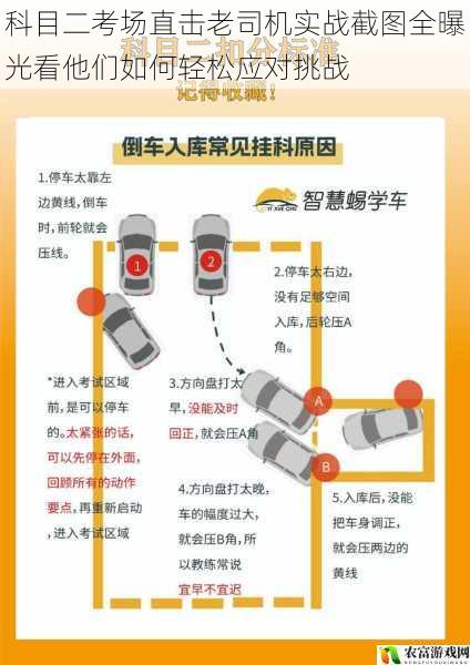 科目二考场直击老司机实战截图全曝光看他们如何轻松应对挑战