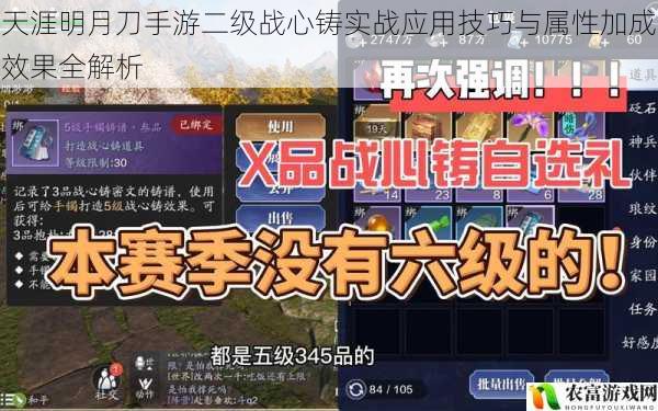 天涯明月刀手游二级战心铸实战应用技巧与属性加成效果全解析