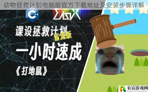 动物拯救计划电脑版官方下载地址及安装步骤详解