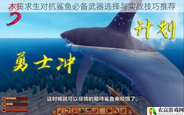 木筏求生对抗鲨鱼必备武器选择与实战技巧推荐