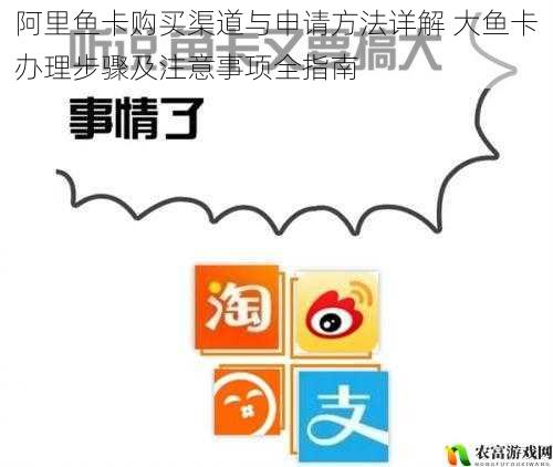 阿里鱼卡购买渠道与申请方法详解 大鱼卡办理步骤及注意事项全指南