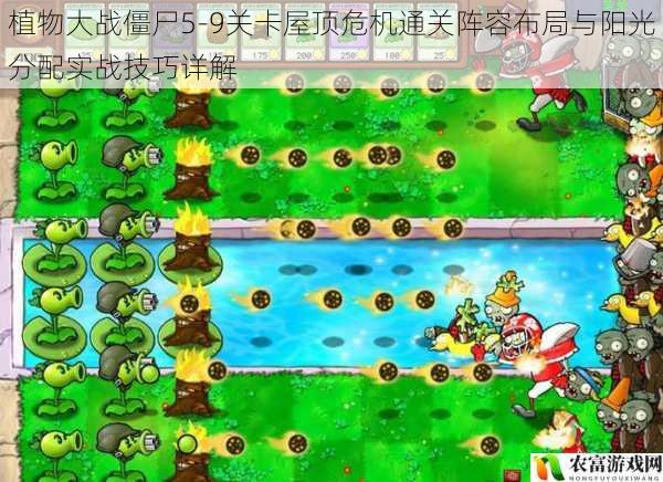 植物大战僵尸5-9关卡屋顶危机通关阵容布局与阳光分配实战技巧详解