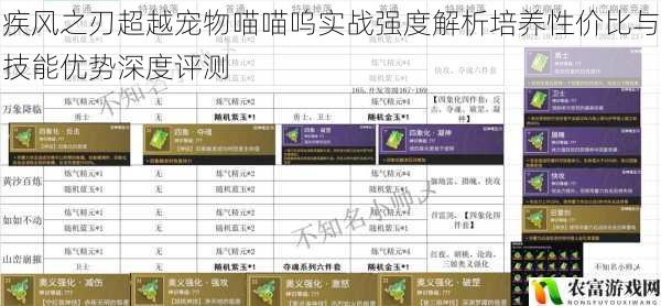疾风之刃超越宠物喵喵呜实战强度解析培养性价比与技能优势深度评测