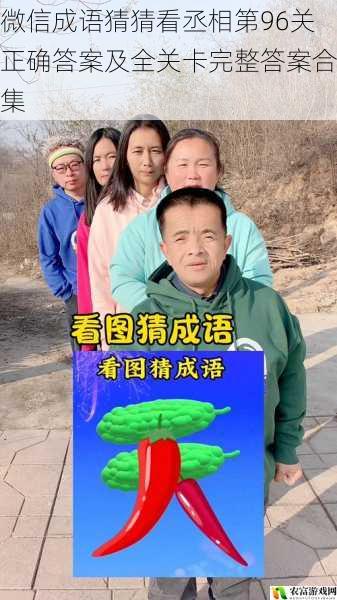 微信成语猜猜看丞相第96关正确答案及全关卡完整答案合集