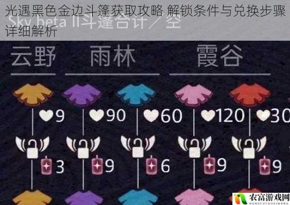 光遇黑色金边斗篷获取攻略 解锁条件与兑换步骤详细解析