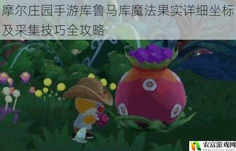 摩尔庄园手游库鲁马库魔法果实详细坐标及采集技巧全攻略