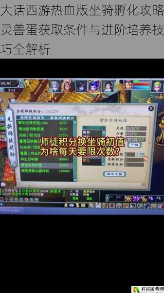 大话西游热血版坐骑孵化攻略灵兽蛋获取条件与进阶培养技巧全解析