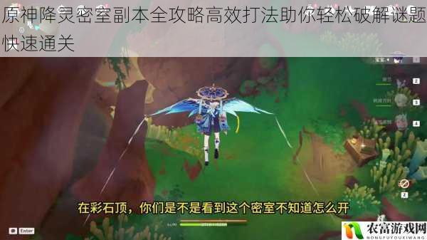 原神降灵密室副本全攻略高效打法助你轻松破解谜题快速通关