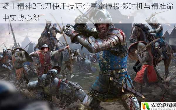 骑士精神2飞刀使用技巧分享掌握投掷时机与精准命中实战心得