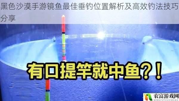 黑色沙漠手游镜鱼最佳垂钓位置解析及高效钓法技巧分享