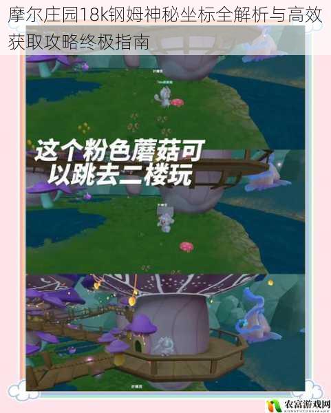 摩尔庄园18k钢姆神秘坐标全解析与高效获取攻略终极指南