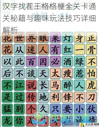 汉字找茬王格格梗全关卡通关秘籍与趣味玩法技巧详细解析