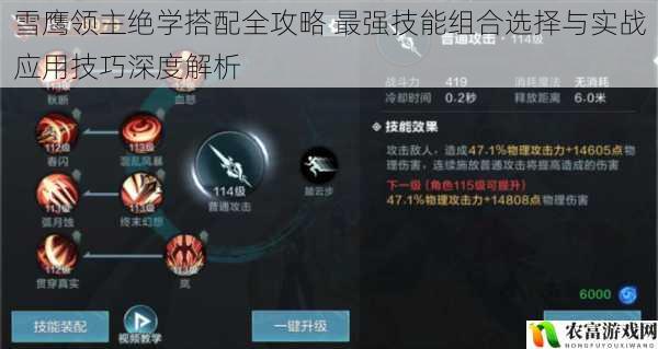 雪鹰领主绝学搭配全攻略 最强技能组合选择与实战应用技巧深度解析
