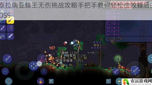 泰拉瑞亚蜂王无伤挑战攻略手把手教你轻松击败蜂后BOSS