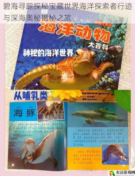 碧海寻踪探秘宝藏世界海洋探索者行迹与深海奥秘揭秘之旅