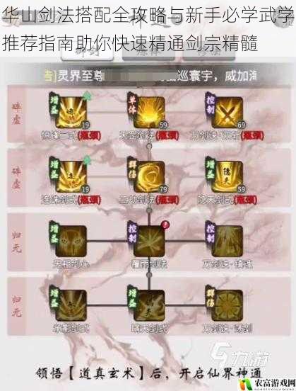华山剑法搭配全攻略与新手必学武学推荐指南助你快速精通剑宗精髓