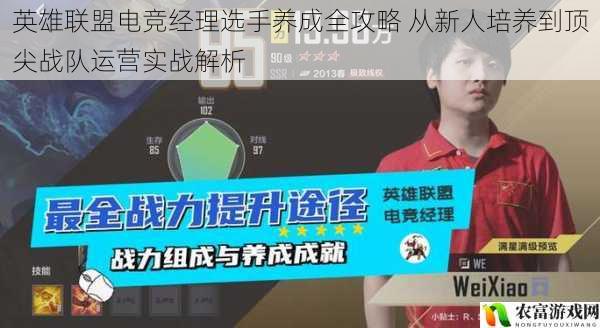 英雄联盟电竞经理选手养成全攻略 从新人培养到顶尖战队运营实战解析